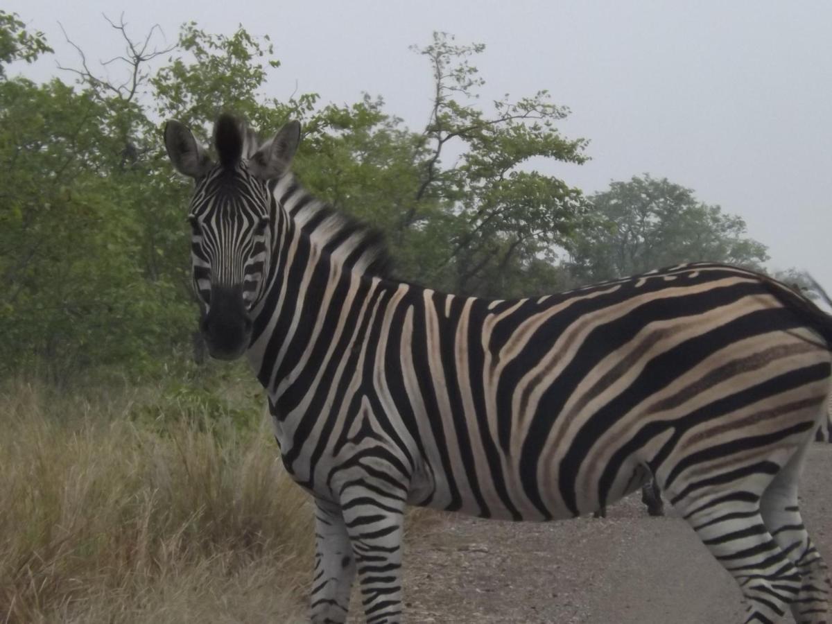 Mountain View Safari Lodge 侯斯普瑞特 外观 照片